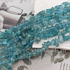 Нить 20 см Апатит крошка 5-8 мм (6873) купить в Воронеже | Заказать в интернет-магазине Viva Beads
