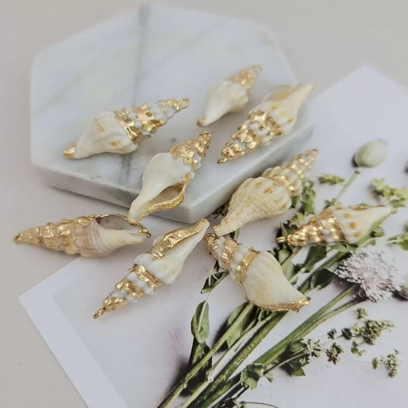 Коллекция «Морская ракушка»