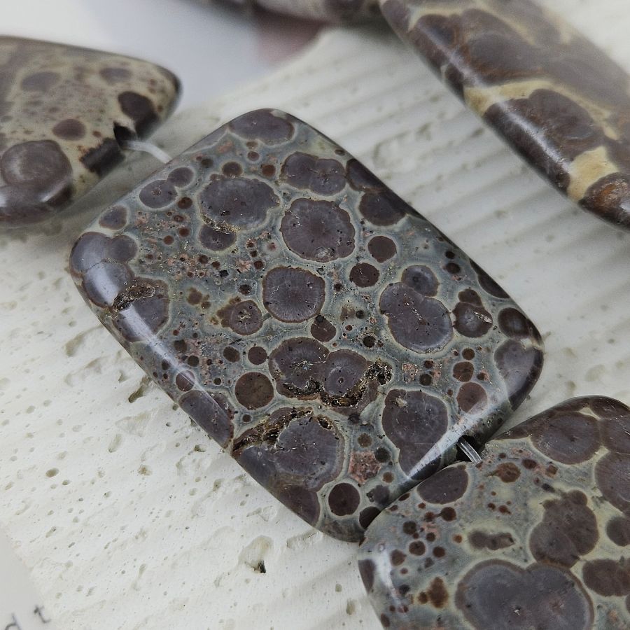 1 шт. Риолит / Леопардовая яшма / ок. 40х29.6х7.6-7.9 мм, крупные прямоугольные бусины (9984) купить в Воронеже | Заказать в интернет-магазине Viva Beads
