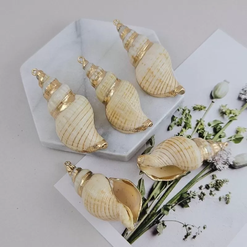 Коллекция «Морская ракушка»