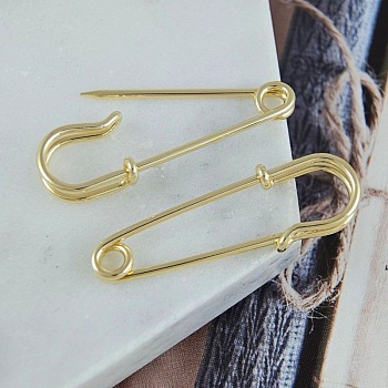 Булавка основа для броши 35х10 мм позолота (7872-З) купить в Воронеже | Заказать в интернет-магазине Viva Beads Булавка основа для броши 35х10 мм позолота (7872-З)