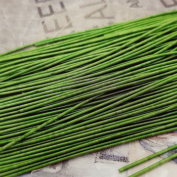 5 гр. Канитель мягкая 1 мм зеленый (3472) купить в #REGION_P# | Заказать в интернет-магазине Viva Beads
 5 гр. Канитель мягкая 1 мм зеленый (3472) купить в #REGION_P# | Заказать в интернет-магазине Viva Beads