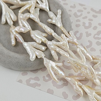 1 шт. Жемчуг барочный лапки 25-39 мм белый АА (3817) купить в #REGION_P# | Заказать в интернет-магазине Viva Beads
