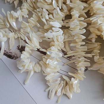 Нить 19 см Перламутр натуральный лепестки ок. 15-37х2-6 мм белый (7610) купить в Воронеже | Заказать в интернет-магазине Viva Beads
