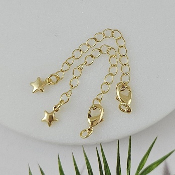 Замок лобстер 10 мм с удлинителем и подвеской Звезда, позолота 14К (6327-10-З) купить в Воронеже | Заказать в интернет-магазине Viva Beads
